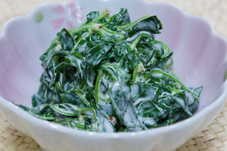 旬 春の香り うこぎ 下処理 レシピ 作り方 By ワタリ クックパッド 簡単おいしいみんなのレシピが357万品