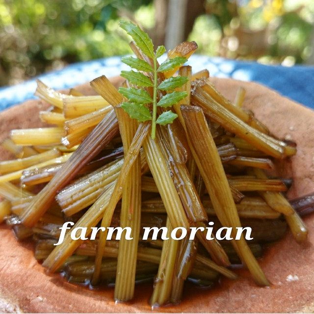 たくさん作って保存しよう フキのつくだ煮 レシピ 作り方 By もりあん農園 クックパッド 簡単おいしいみんなのレシピが357万品