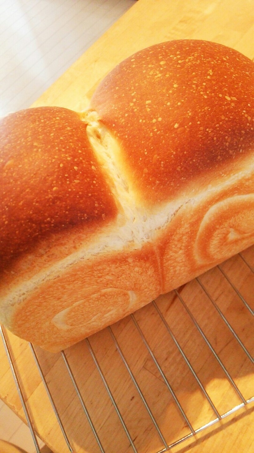 自家製天然酵母の山型パン 1.5斤の画像
