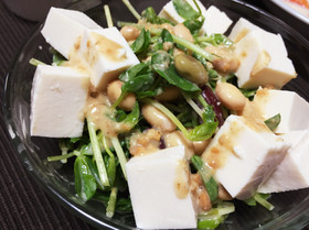 簡単!イソフラボンたっぷり豆苗サラダ
