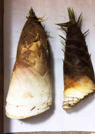 みんなが作ってる オスメスのレシピ クックパッド 簡単おいしいみんなのレシピが353万品