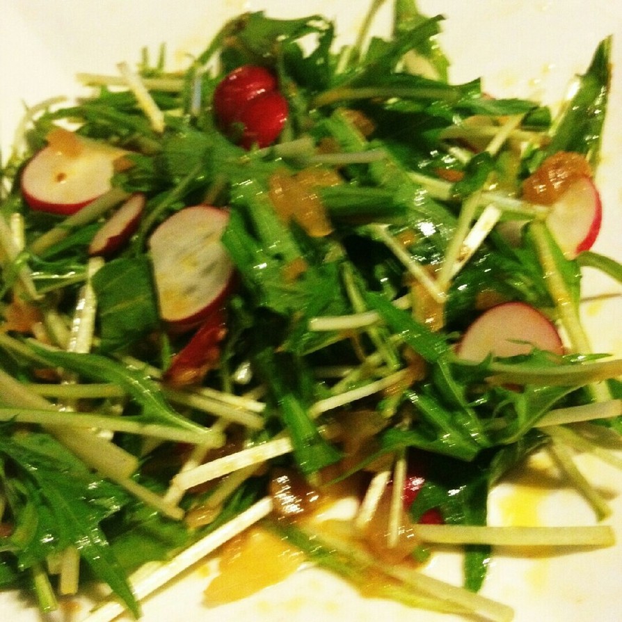 激ウマ、水菜とラディッシュの中華サラダの画像