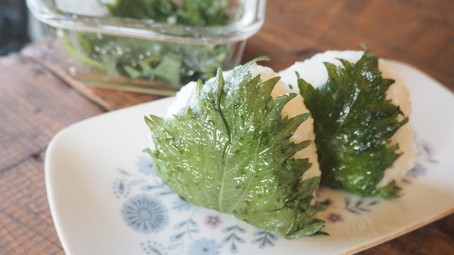 ごま油香る大葉の塩漬け レシピ 作り方 By あお クックパッド 簡単おいしいみんなのレシピが352万品