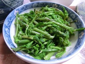 タチシオデのお浸し・アスパラと同じ味!