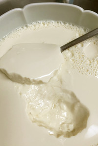 簡単　室温で豆乳ヨーグルト　ビーガン