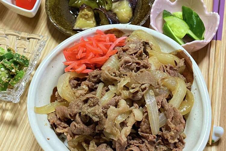 北へ 震え 戸棚 牛 丼 玉ねぎ Kentaja Org