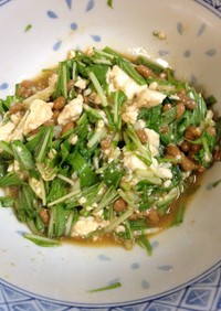 栄養オイルをインして水菜と納豆の豆腐和え