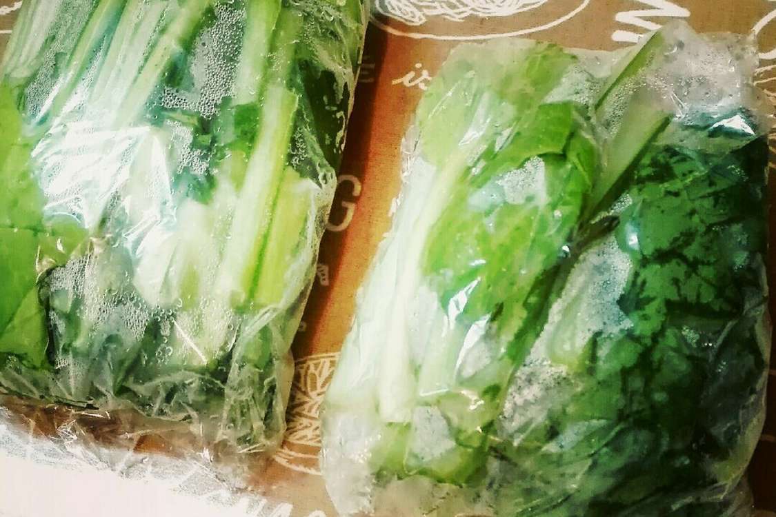 葉物野菜の冷凍保存 一人暮らしの自炊に レシピ 作り方 By もちもちneko クックパッド 簡単おいしいみんなのレシピが378万品