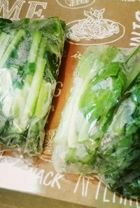 葉物野菜の冷凍保存。一人暮らしの自炊に。