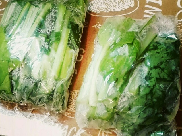 葉物野菜の冷凍保存。一人暮らしの自炊に。 レシピ・作り方 By もちもちポン 【クックパッド】 簡単おいしいみんなのレシピが363万品