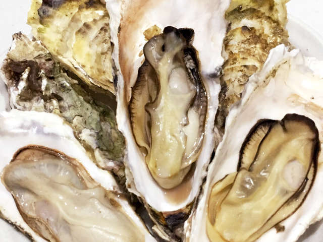 すごい 殻 付き 牡蠣 洗う 画像ブログ