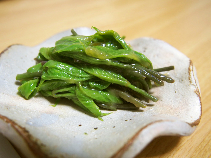 山菜・コシアブラの酢味噌和えの画像