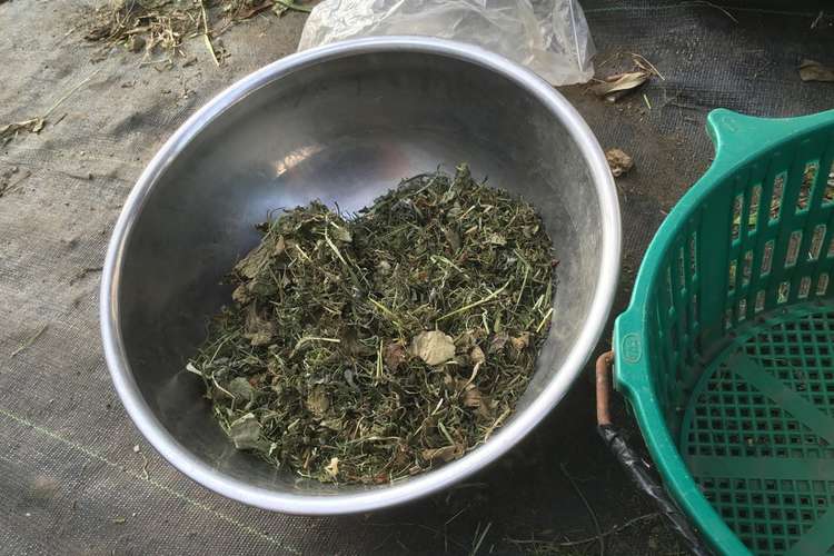 野草茶 レシピ 作り方 By クロシュー クックパッド 簡単おいしいみんなのレシピが367万品