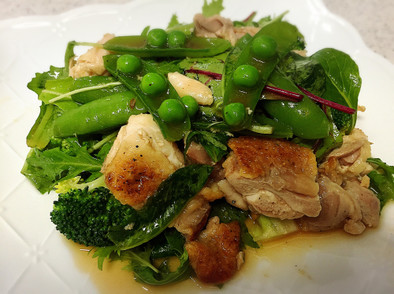 鶏肉と緑野菜たっぷりのボリュームサラダの写真