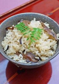 汐ふき椎茸「木もれ陽」の簡単ご飯