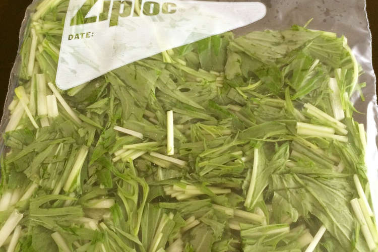 保存 水菜