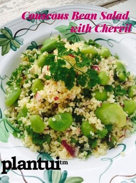 グリーンが鮮やかクスクスの豆まめサラダ