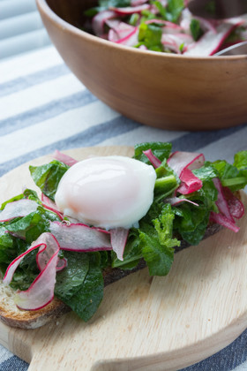 ロングスカーレット(ラディッシュ)サラダ