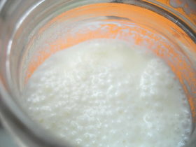 誰でも簡単に自家製ヨーグルト酵母