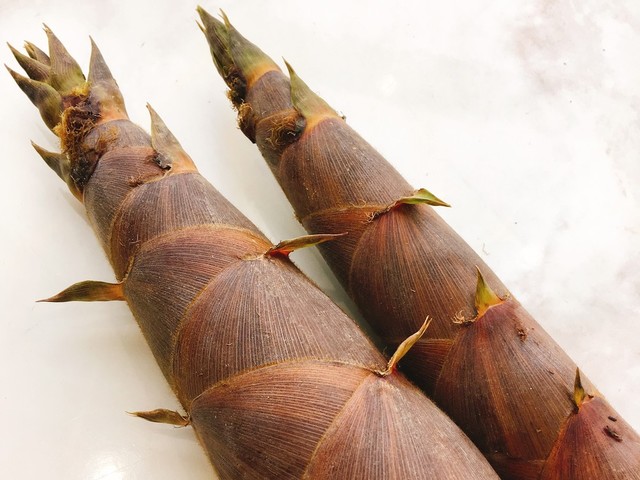 米ぬか不要 淡竹 はちく の茹で方 レシピ 作り方 By めぐみの郷 クックパッド 簡単おいしいみんなのレシピが356万品 米ぬか不要 淡竹 はちく の茹で方 レシピ 作り方 By めぐみの郷 クックパッド 簡単おいしいみんなのレシピが356万品
