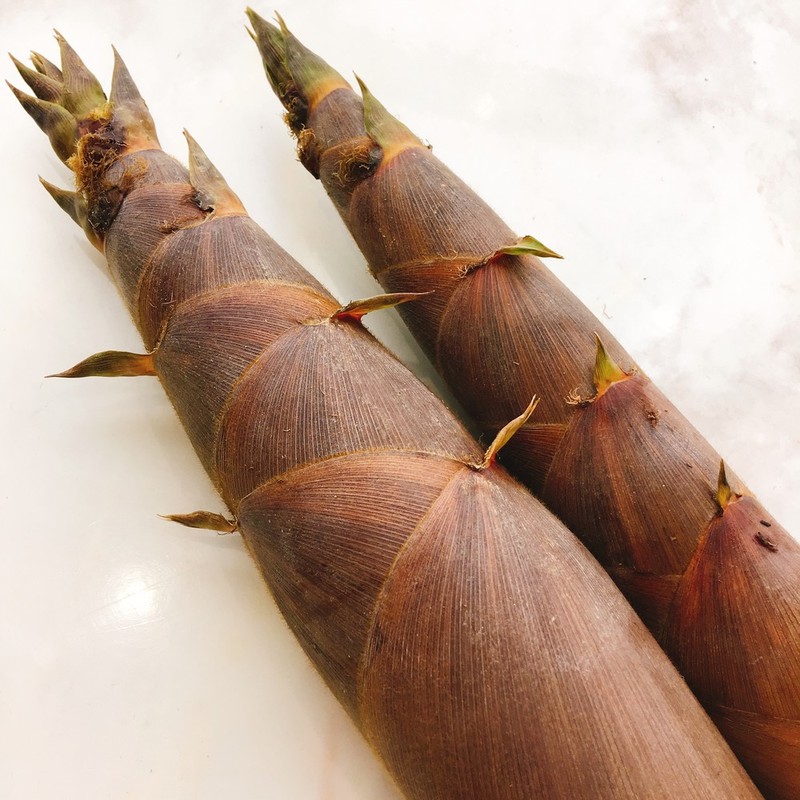 破竹の取り方 – たけのこ はちく 茹で方 – 【手作り】本格メンマの作り方【簡単レシピ】 – NQZJBQ