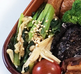 【お弁当】えのきと小松菜のバター醤油炒め