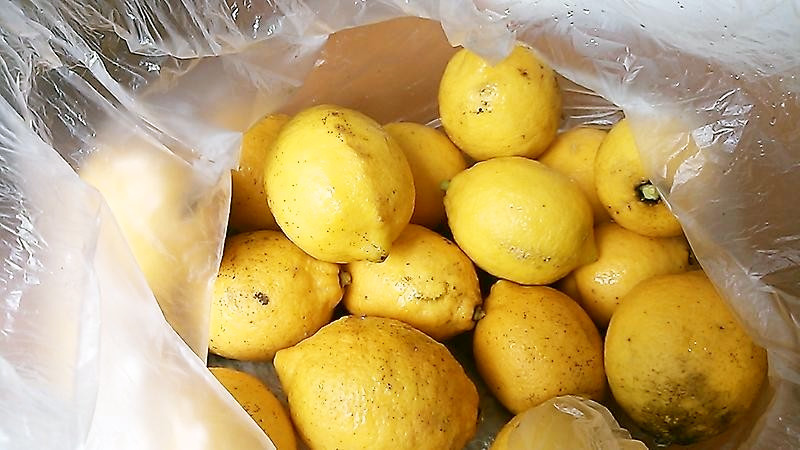 無農薬レモンでレモンマーマレードの画像
