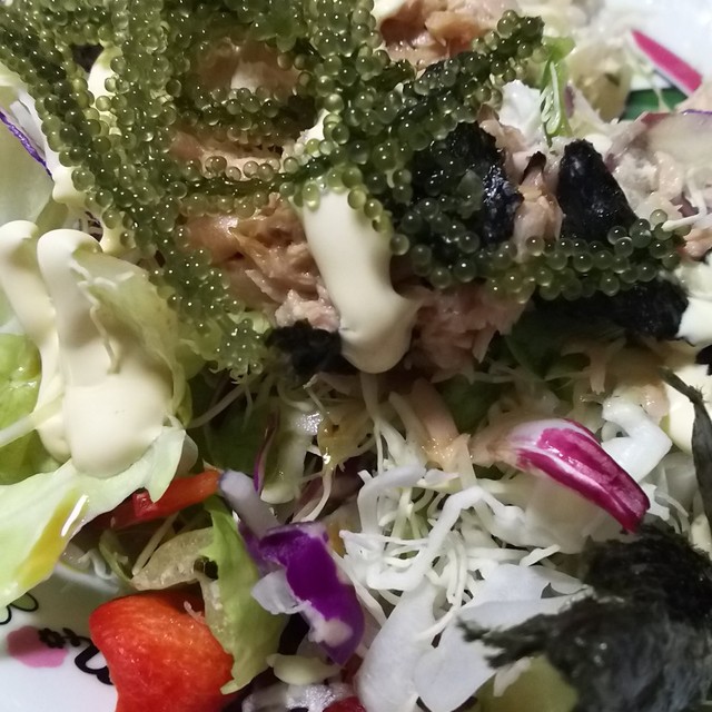 サラダ丼 海ぶどうのせ レシピ 作り方 By Hamoko クックパッド 簡単おいしいみんなのレシピが354万品 サラダ丼 海ぶどうのせ レシピ 作り方 By Hamoko クックパッド 簡単おいしいみんなのレシピが354万品