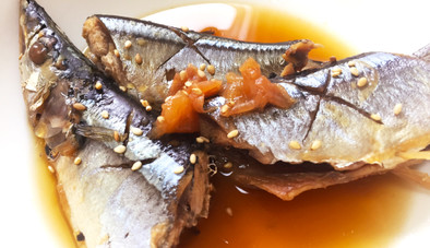 秋刀魚のさっぱり梅干し煮の写真