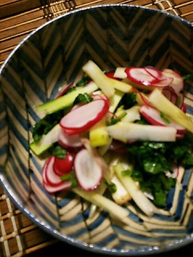 ラディッシュとウドの和風サラダ