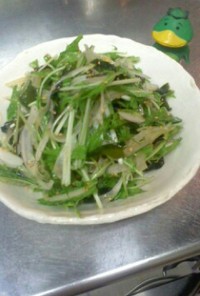 水菜、新玉葱、ワカメの簡単サラダ