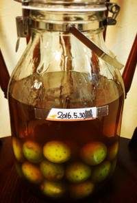 梅酒好き直伝(・ω・)蜂蜜ブランデー梅酒
