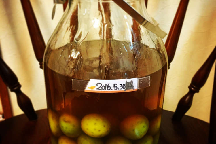 梅酒好き直伝 W 蜂蜜ブランデー梅酒 レシピ 作り方 By Suiiiii クックパッド 簡単おいしいみんなのレシピが376万品