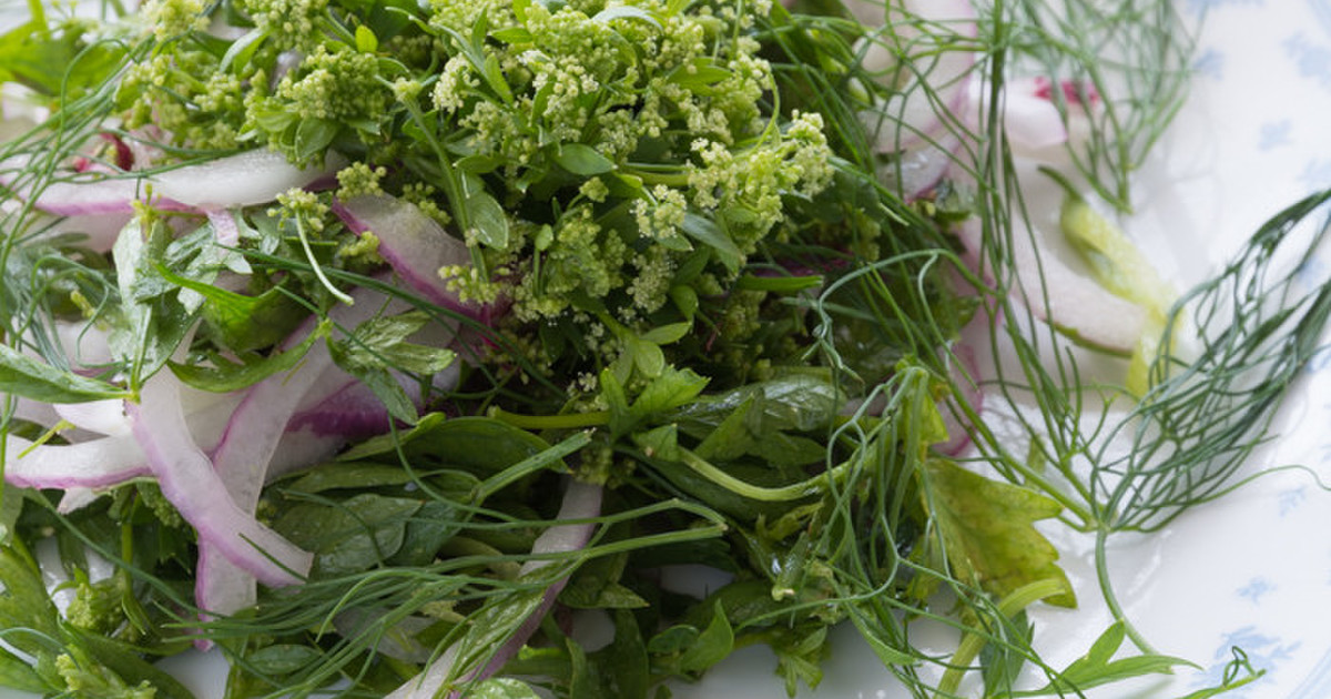 セロリのお花と赤玉ねぎのサラダ レシピ 作り方 By 農pro クックパッド 簡単おいしいみんなのレシピが374万品