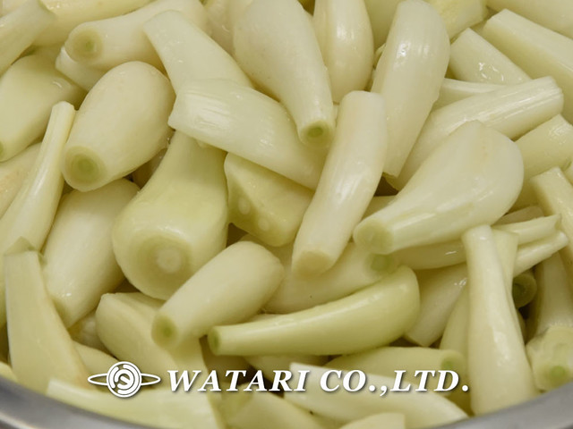 らっきょうの下処理と簡単塩漬け 工程写真 レシピ 作り方 By ワタリ クックパッド 簡単おいしいみんなのレシピが361万品