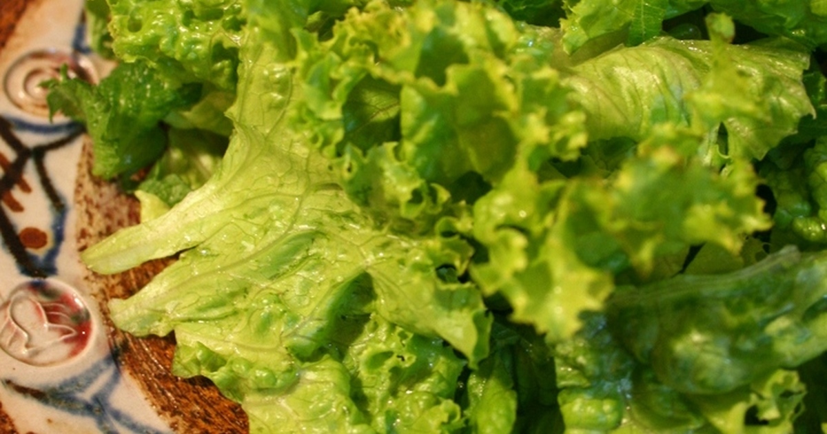 しゃっきり復活 しなびたレタス達 レシピ 作り方 By ちさぷー クックパッド 簡単おいしいみんなのレシピが366万品