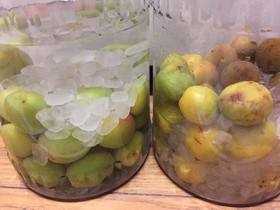 わたしの 梅酒