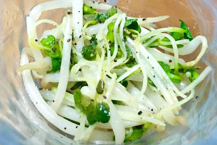レンジで簡単 もやしとカイワレのナムル レシピ 作り方 By Hl クックパッド