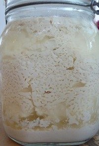 玄米酵母で作るなんちゃって豆乳ヨーグルト