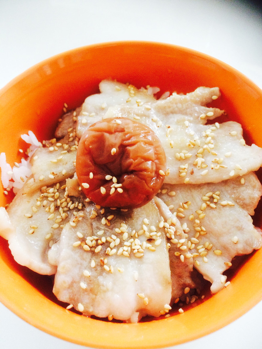 がっつり？さっぱり？豚梅丼