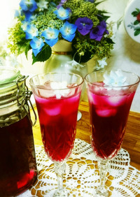 赤紫蘇とお酢で作る＊ 赤しそジュース