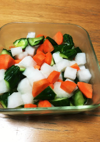 シンプルに作り置き 塩野菜