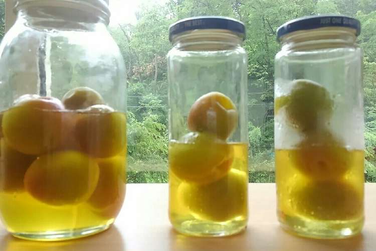 はちみつ梅ジュース 梅は冷凍すると簡単 レシピ 作り方 By やすみぬむ クックパッド 簡単おいしいみんなのレシピが356万品