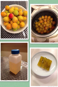 炊飯器で作る梅ジュース(梅の三段活用)