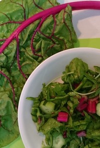 夏野菜ピエトロのグリーンサラダ
