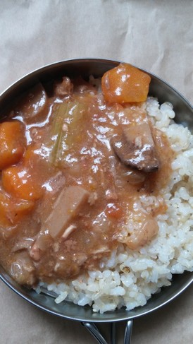 化学調味料フリーの手作りハヤシライス