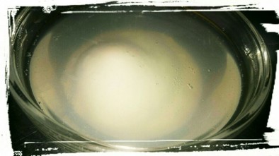 レンジでゆで卵or温泉卵を作りますの写真