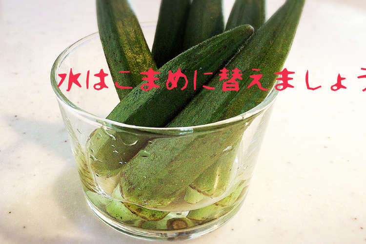オクラの保存方法 レシピ 作り方 By Meme ミミ クックパッド 簡単おいしいみんなのレシピが376万品