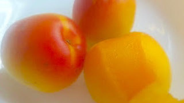 フルーツ梅 完熟梅をそのまま食べよう レシピ 作り方 By ねむンダ クックパッド 簡単おいしいみんなのレシピが359万品 フルーツ梅 完熟梅をそのまま食べよう レシピ 作り方 By ねむンダ クックパッド 簡単おいしいみんなのレシピが359万品