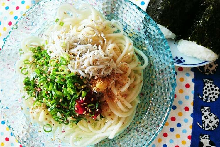 さっぱり 薬味たっぷり冷やしうどん レシピ 作り方 By ほさまる クックパッド